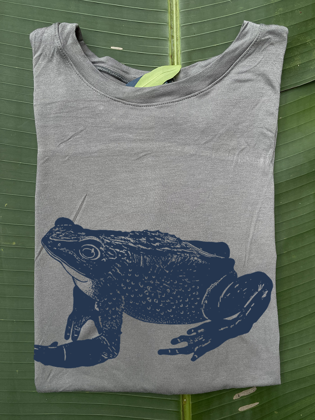 Camiseta Atelopus - Jambato • Larga Brisa • Vaporosas adultos