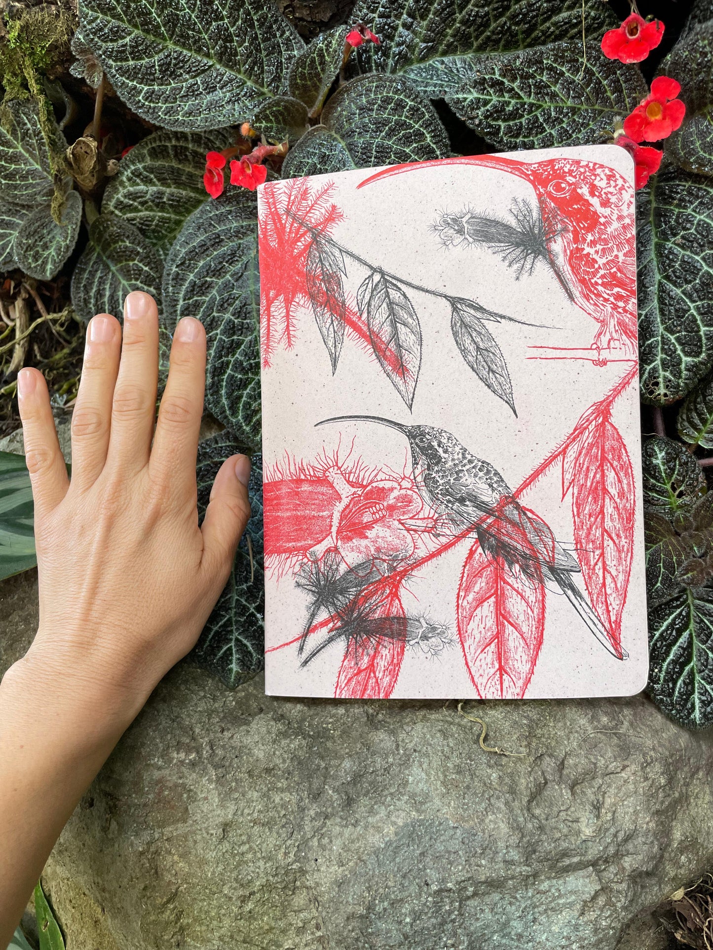 Libreta  Selviflora • Colibrí ermitaño y Flor peludita