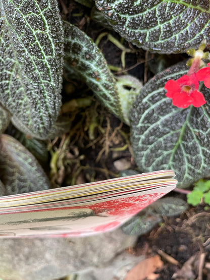 Libreta  Selviflora • Colibrí ermitaño y Flor peludita