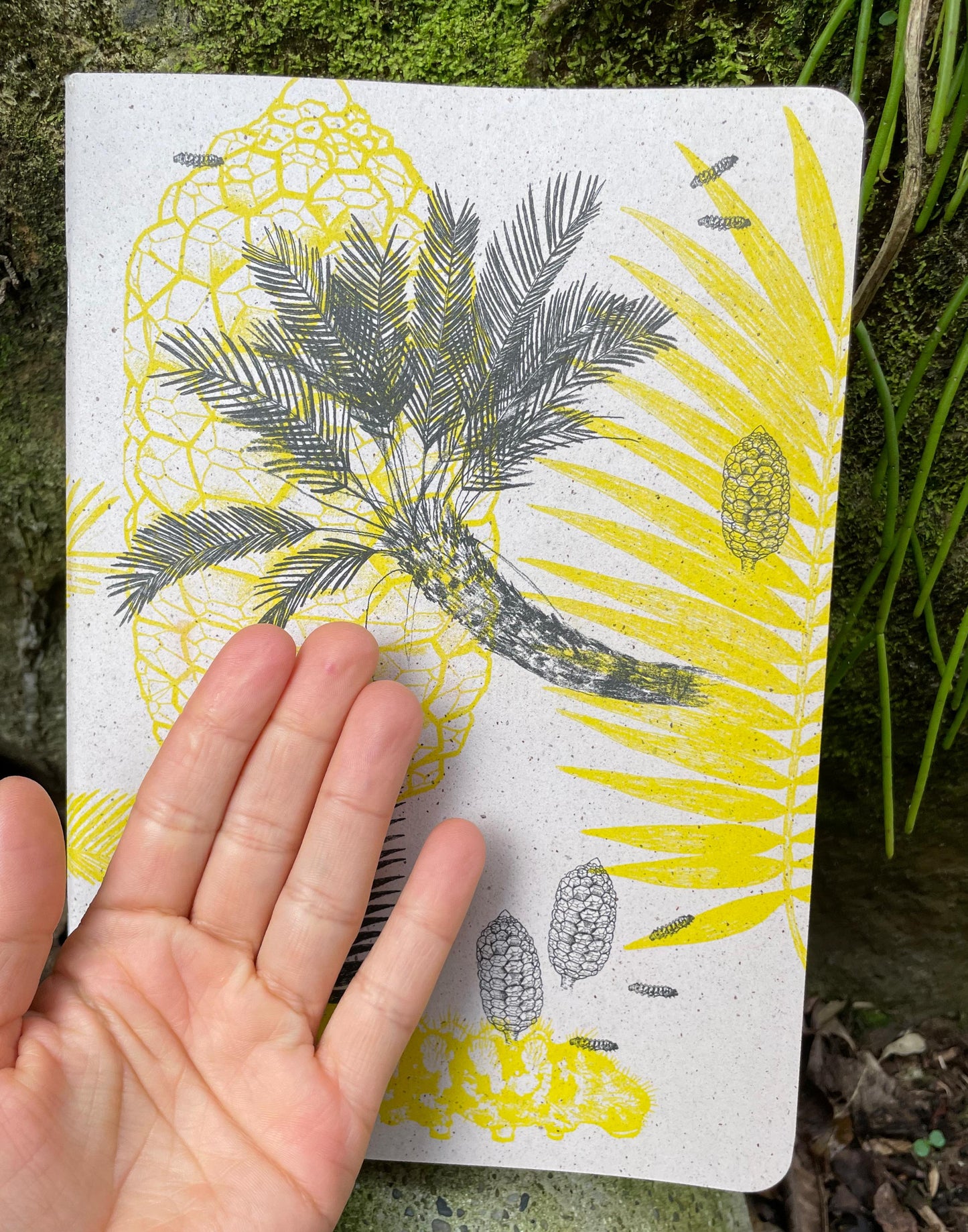 Libreta  Selviflora • Oruga Emaeus y Zamia