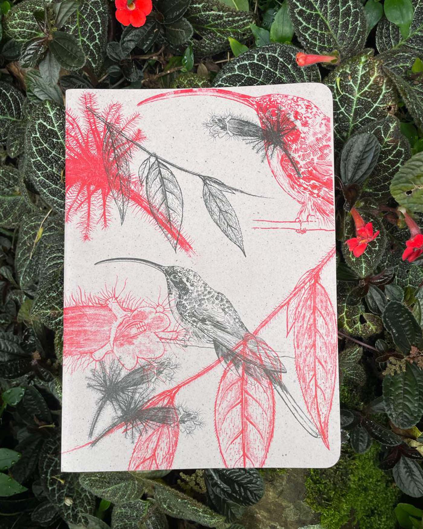 Libreta  Selviflora • Colibrí ermitaño y Flor peludita • Roja