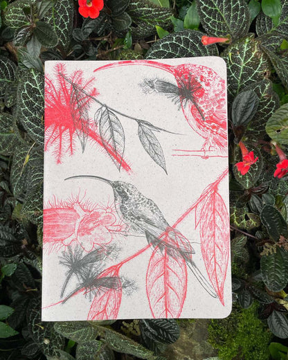 Libreta  Selviflora • Colibrí ermitaño y Flor peludita • Roja