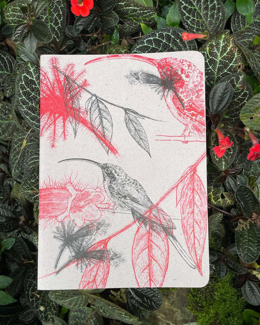Libreta  Selviflora • Colibrí ermitaño y Flor peludita • Roja