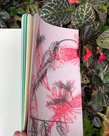 Libreta  Selviflora • Colibrí ermitaño y Flor peludita • Roja