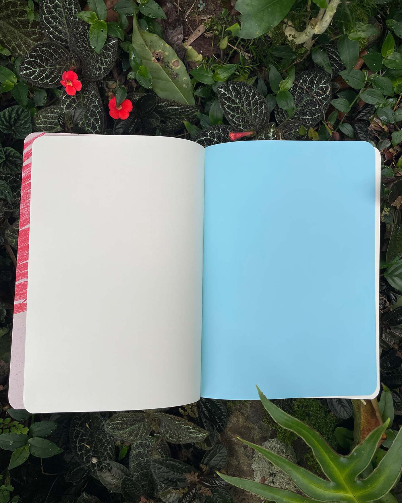 Libreta  Selviflora • Balso y Perro de monte • Roja