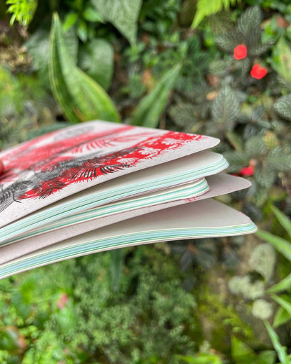 Libreta  Selviflora • Balso y Perro de monte • Roja