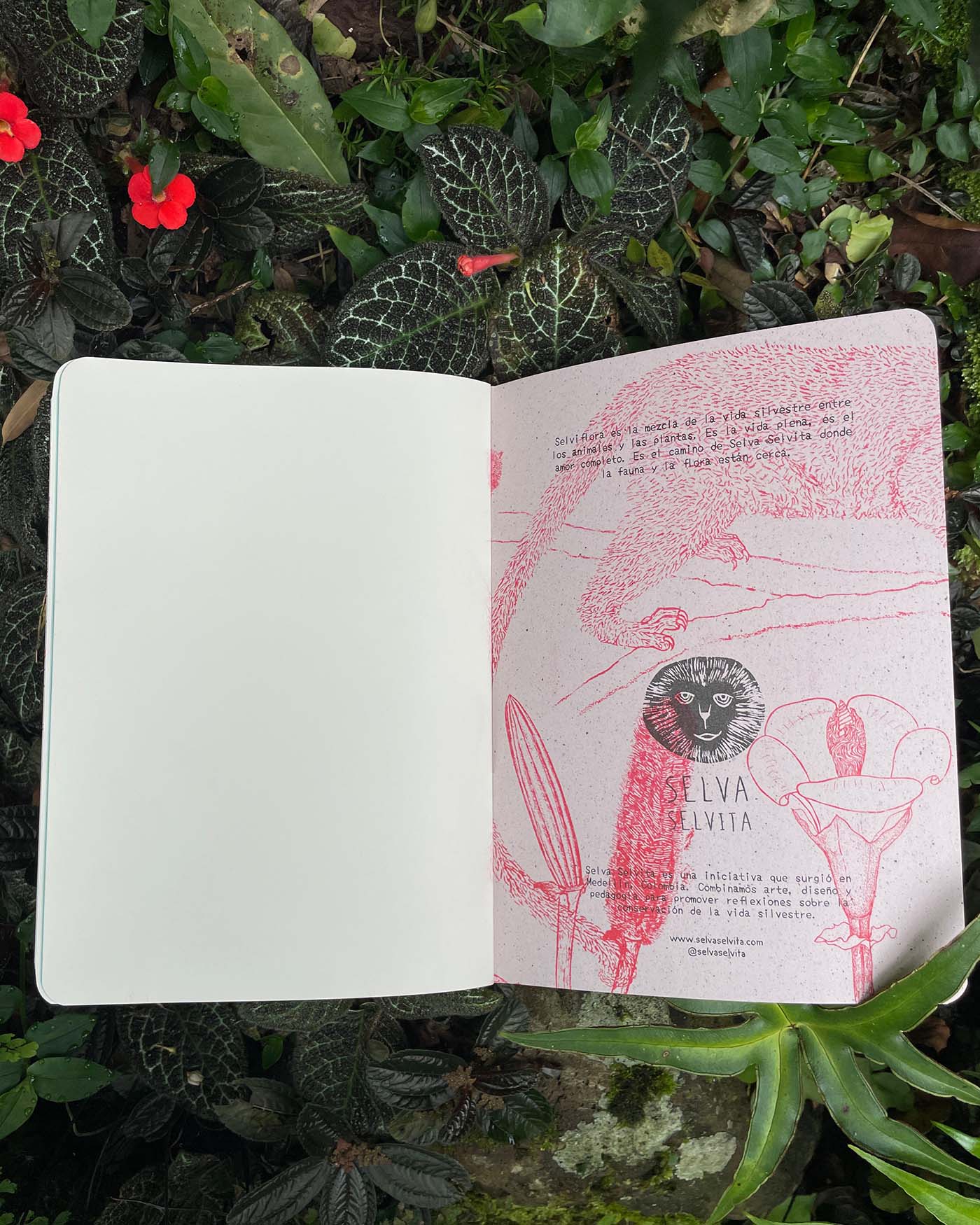 Libreta  Selviflora • Balso y Perro de monte • Roja