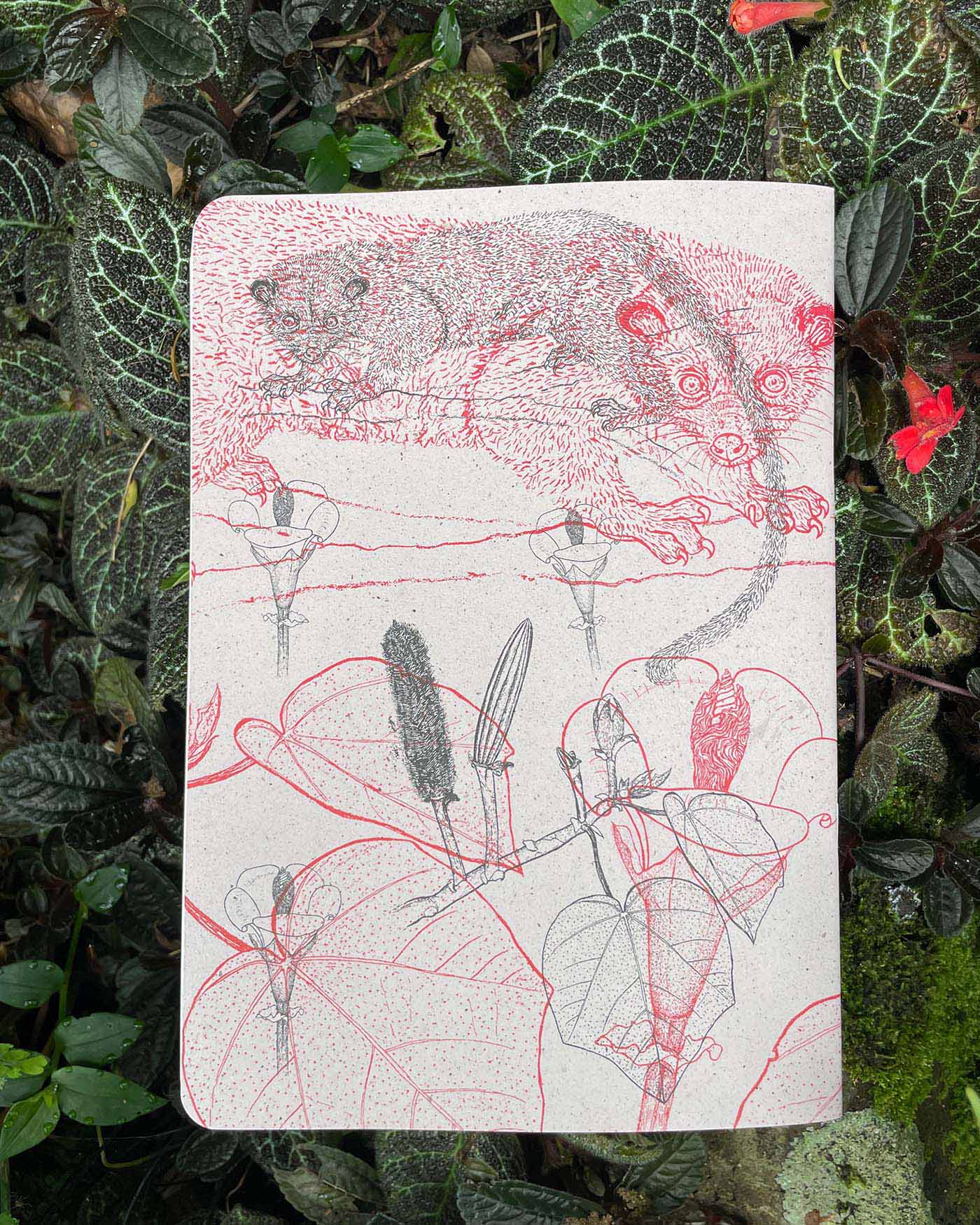 Libreta  Selviflora • Balso y Perro de monte • Roja