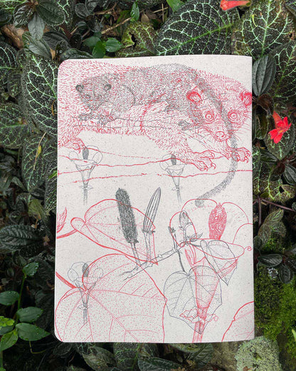 Libreta  Selviflora • Balso y Perro de monte • Roja