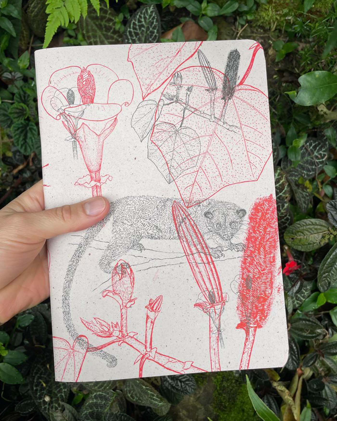 Libreta  Selviflora • Balso y Perro de monte • Roja