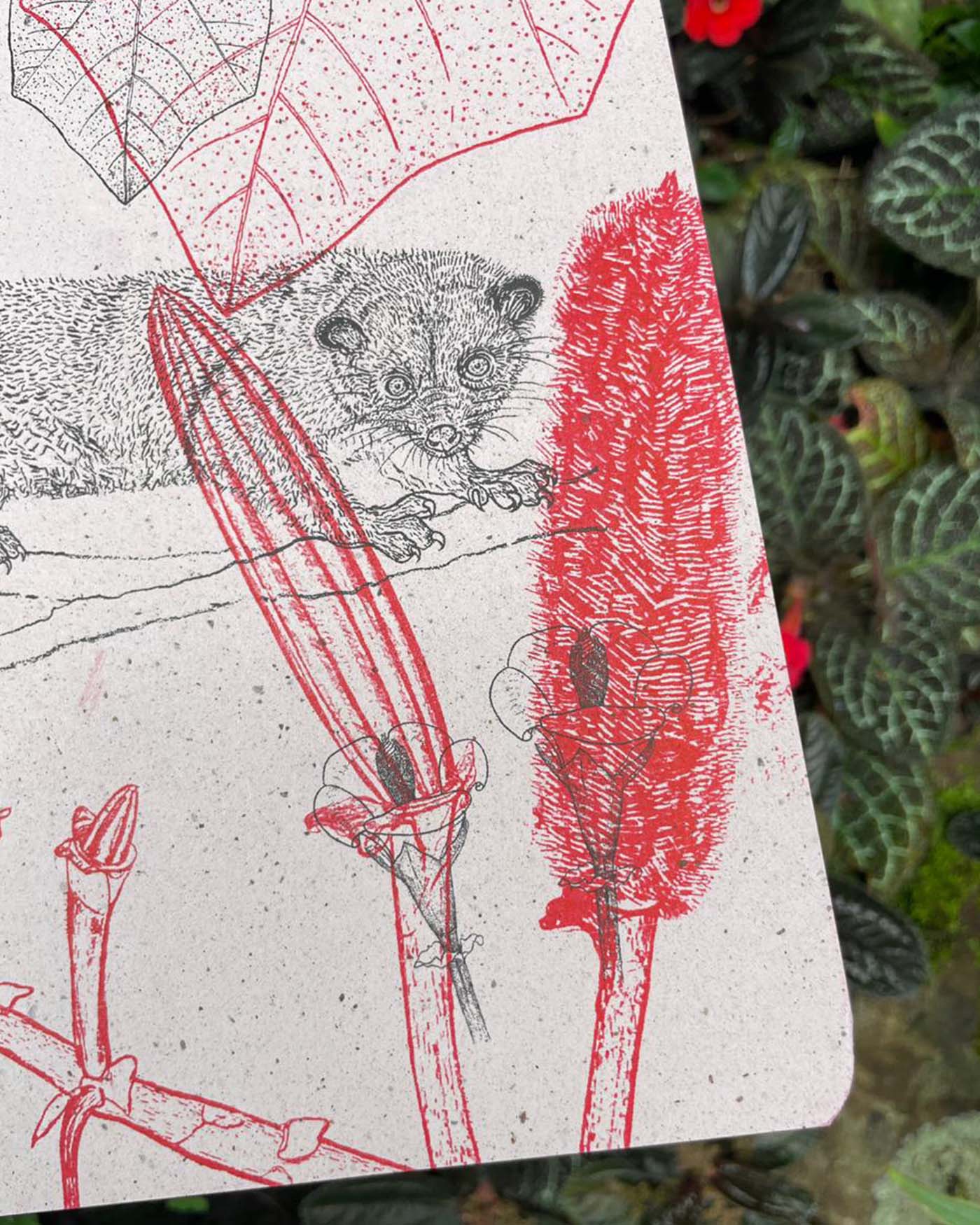 Libreta  Selviflora • Balso y Perro de monte • Roja