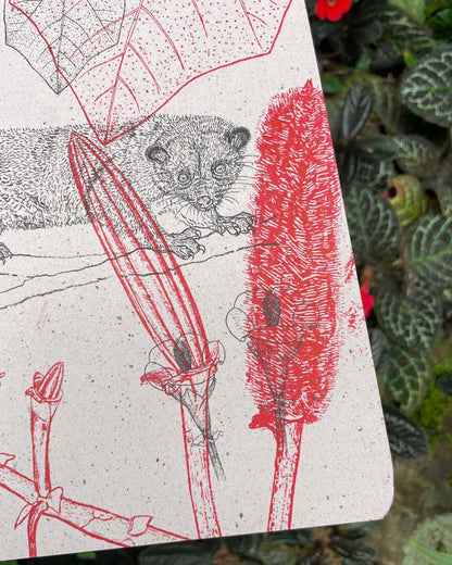 Libreta  Selviflora • Balso y Perro de monte • Roja