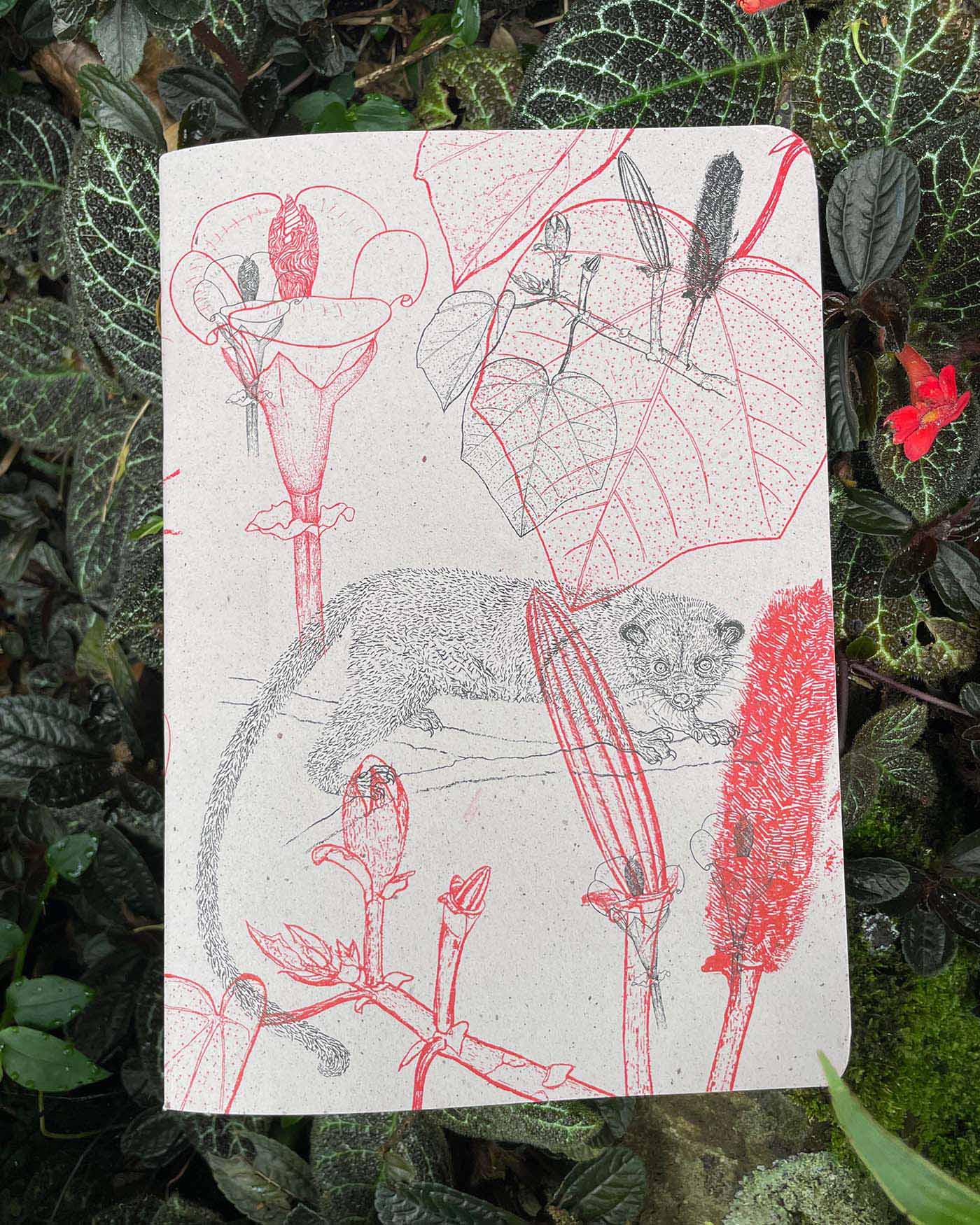 Libreta  Selviflora • Balso y Perro de monte • Roja