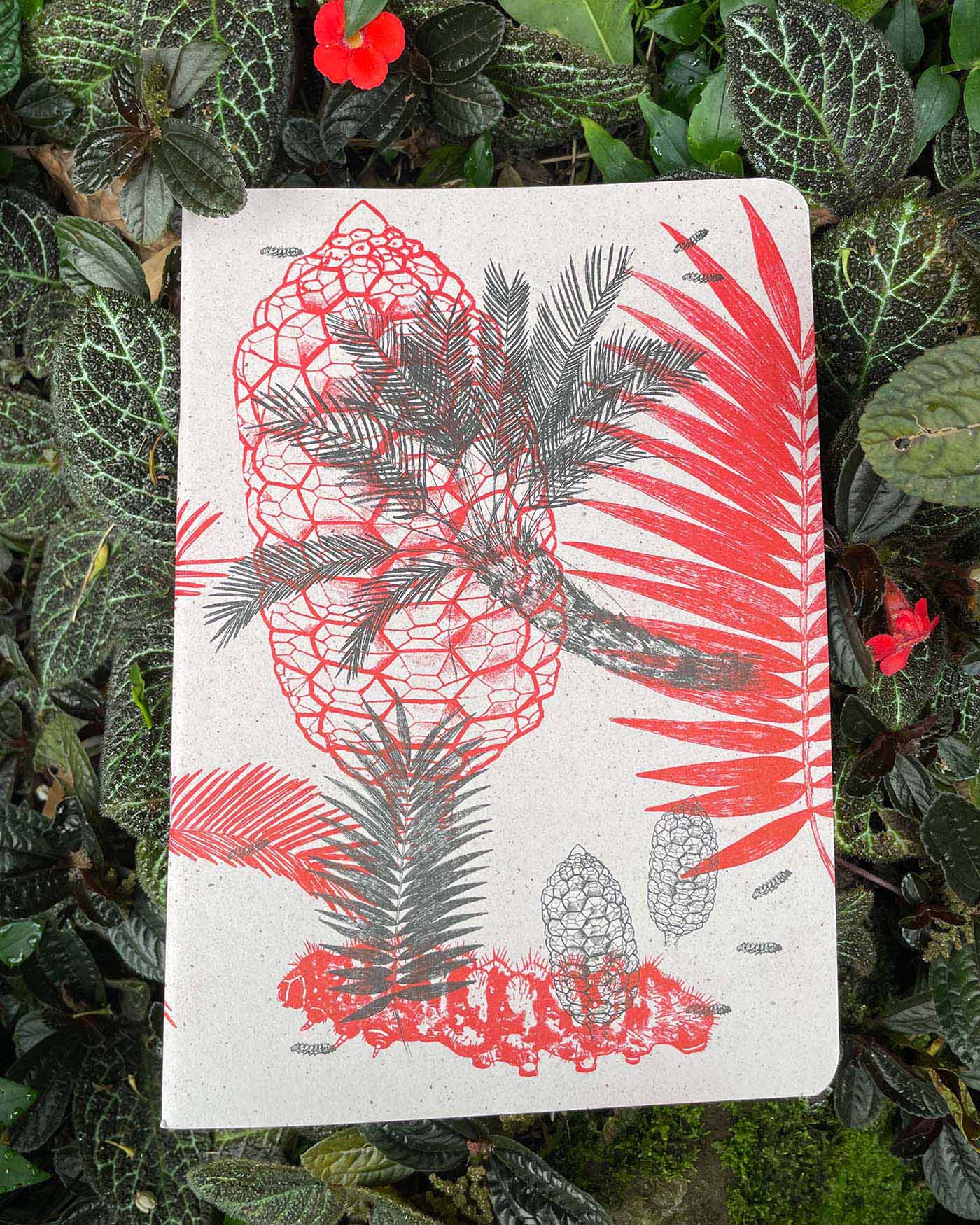 Libreta  Selviflora • Oruga Emaeus y Zamia • Roja