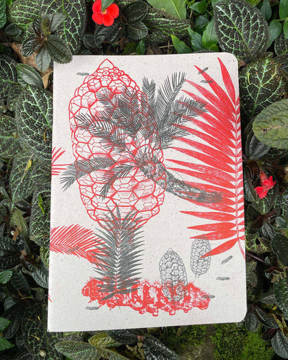 Libreta  Selviflora • Oruga Emaeus y Zamia • Roja