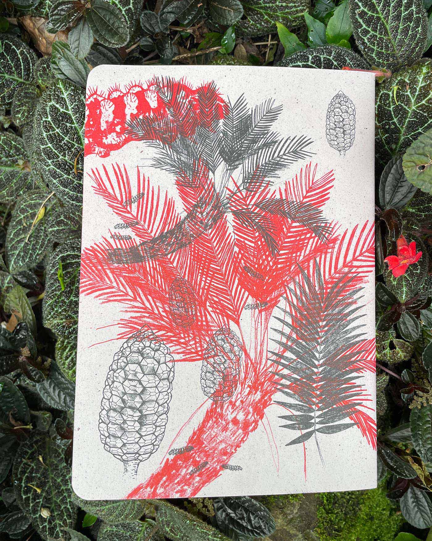 Libreta  Selviflora • Oruga Emaeus y Zamia • Roja