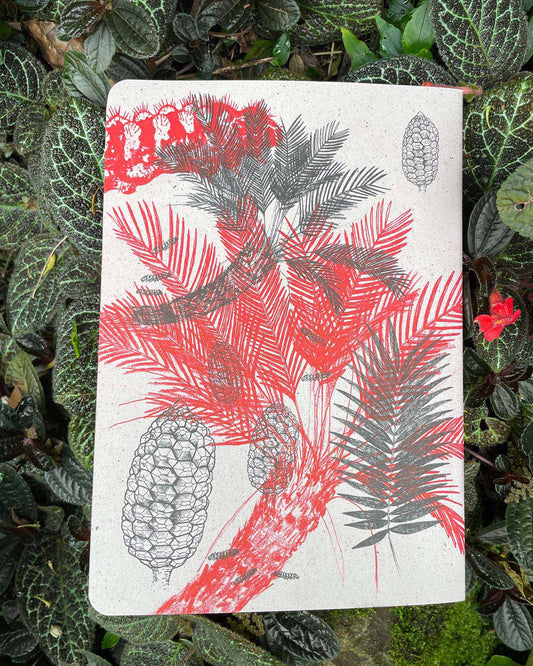 Libreta  Selviflora • Oruga Emaeus y Zamia • Roja