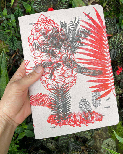 Libreta  Selviflora • Oruga Emaeus y Zamia • Roja