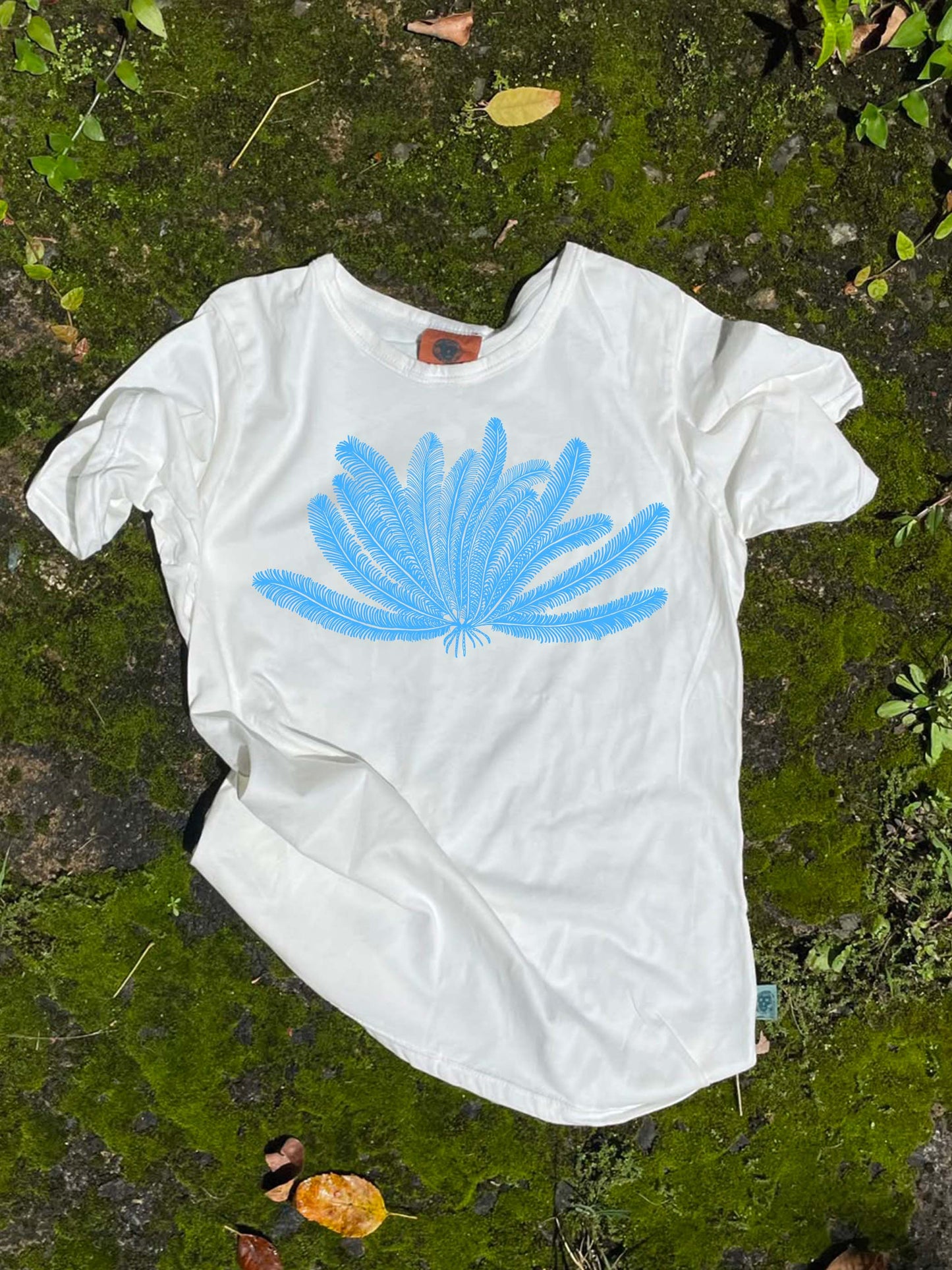 Camiseta Lirio de mar • Infantil • Talla 6 a talla 16