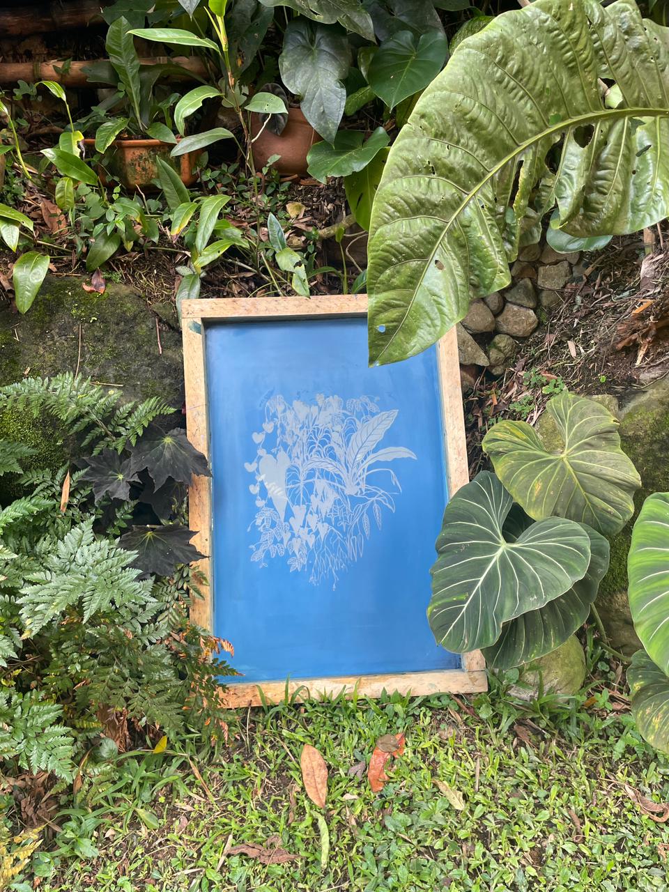 Camiseta Manigua y Paujil • Larga brisa • Vaporosas adultos