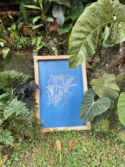 Camiseta Manigua y Paujil • Larga brisa • Vaporosas adultos