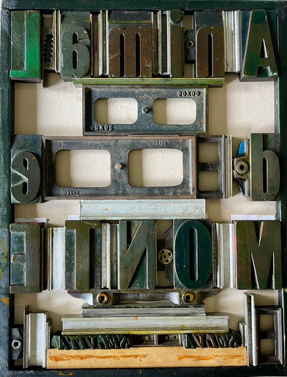 Cartel Animal de MONTE • 50 x 70 cm • Serigrafía y tipografía