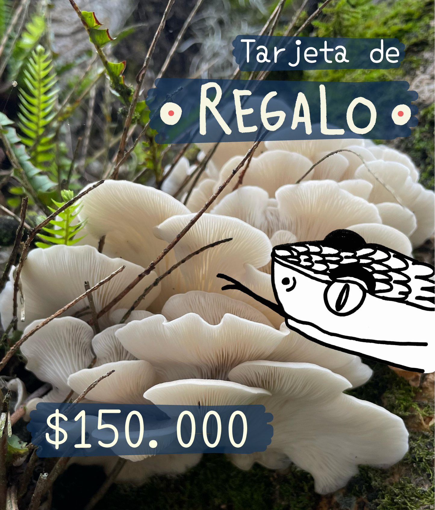 Tarjeta de regalo Selva Selvita
