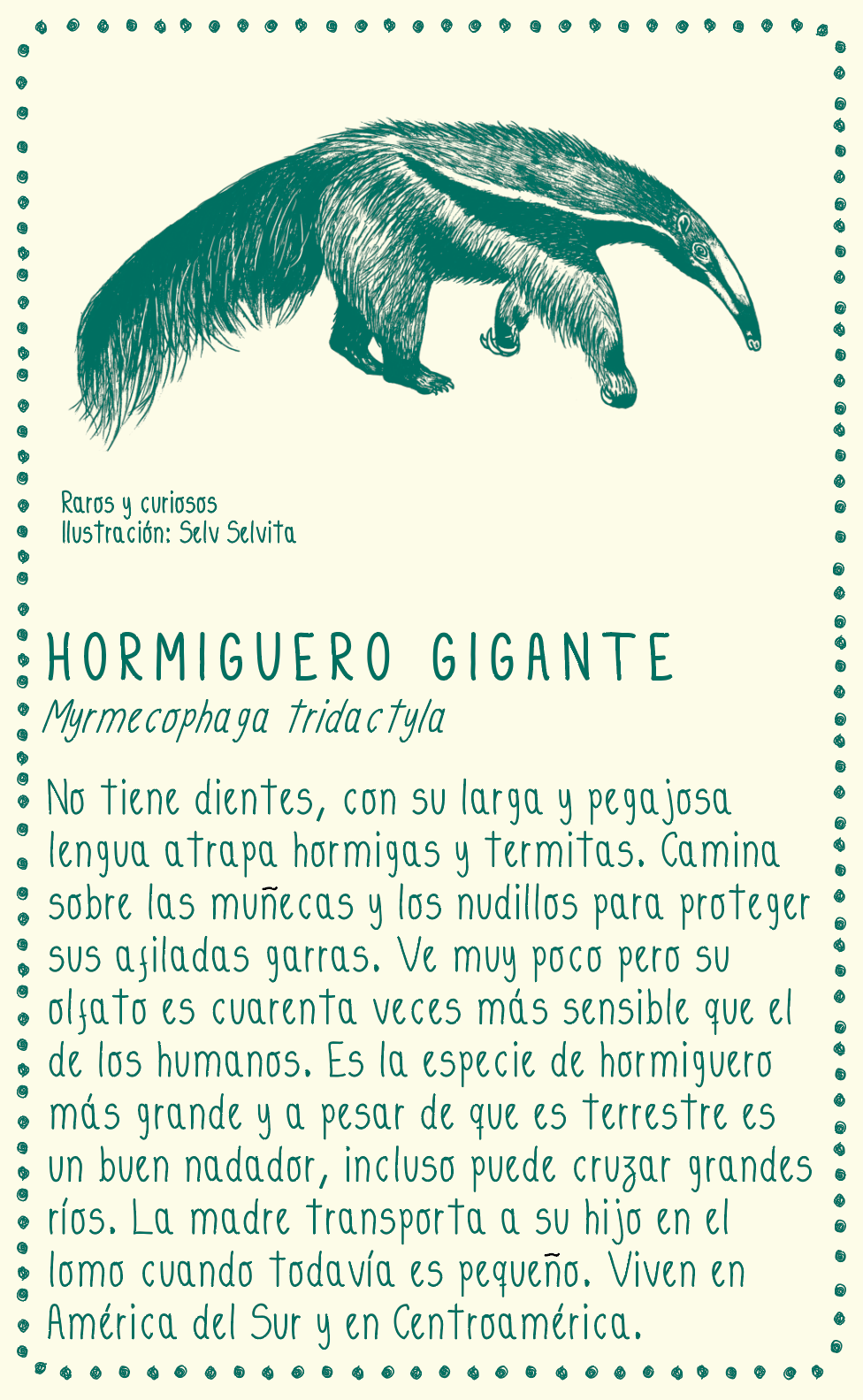 Camiseta Hormiguero gigante • Larga Brisa • Vaporosas adultos