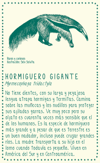 Camiseta Hormiguero gigante • Larga Brisa • Vaporosas adultos