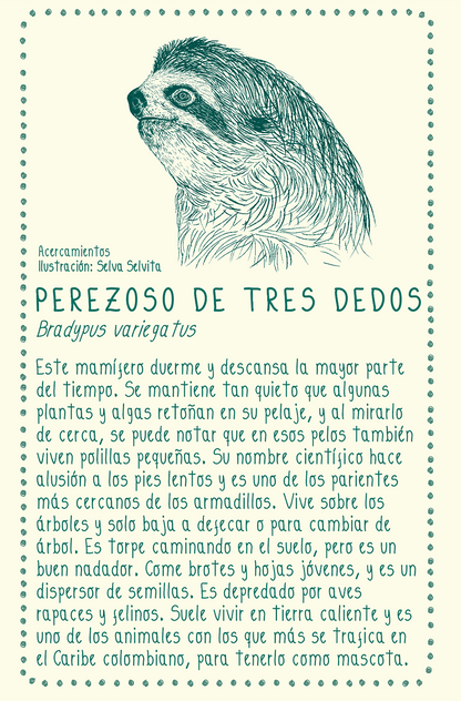 Camiseta Perezoso • Infantil