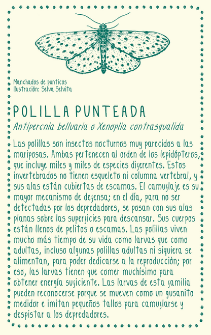 Camiseta Polilla • Brisa • Vaporosas adultos