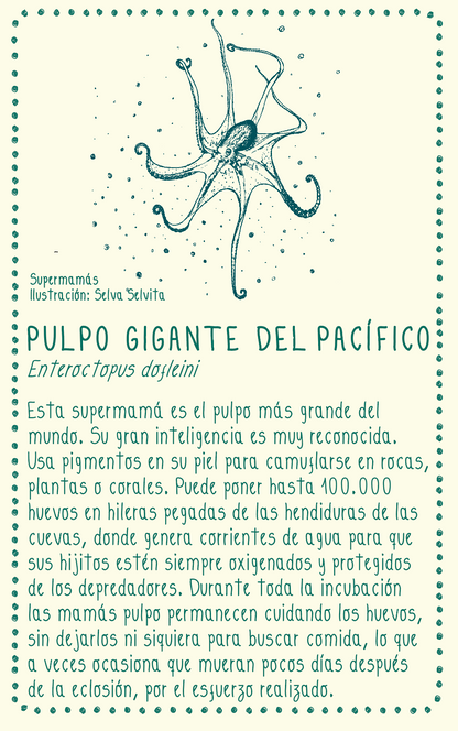 Camiseta Pulpo gigante • Clásica • Adulto