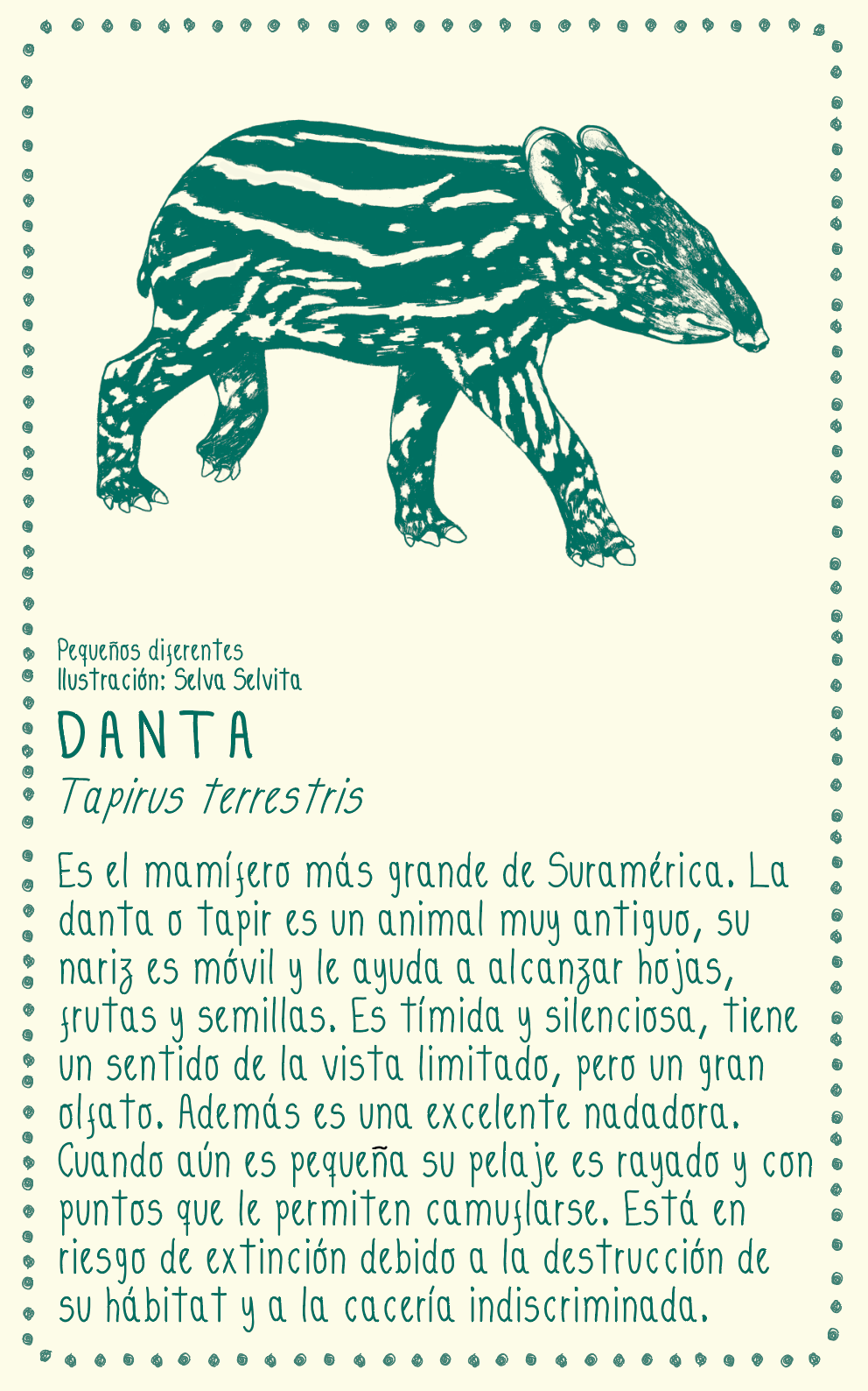 Camiseta Danta • Monte • Manga larga adultos