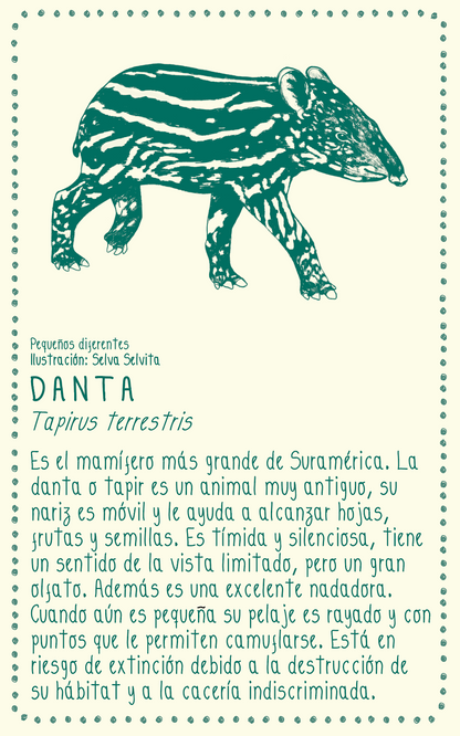 Camiseta Danta • Monte • Manga larga adultos
