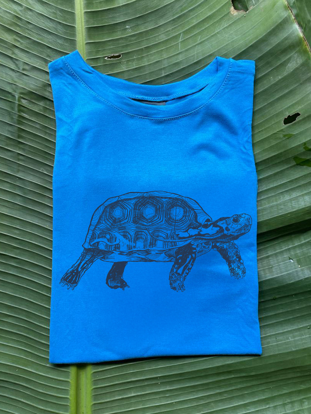 Camiseta Tortuga morrocoy • Brisa • Vaporosas adultos