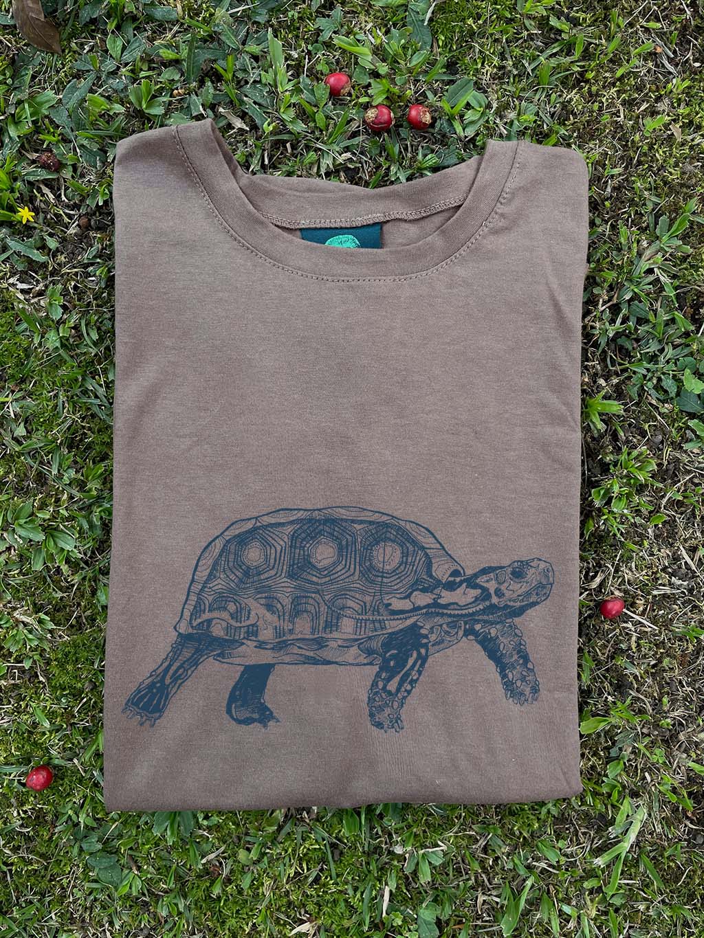 Camiseta Tortuga morrocoy • Clásica • Adulto