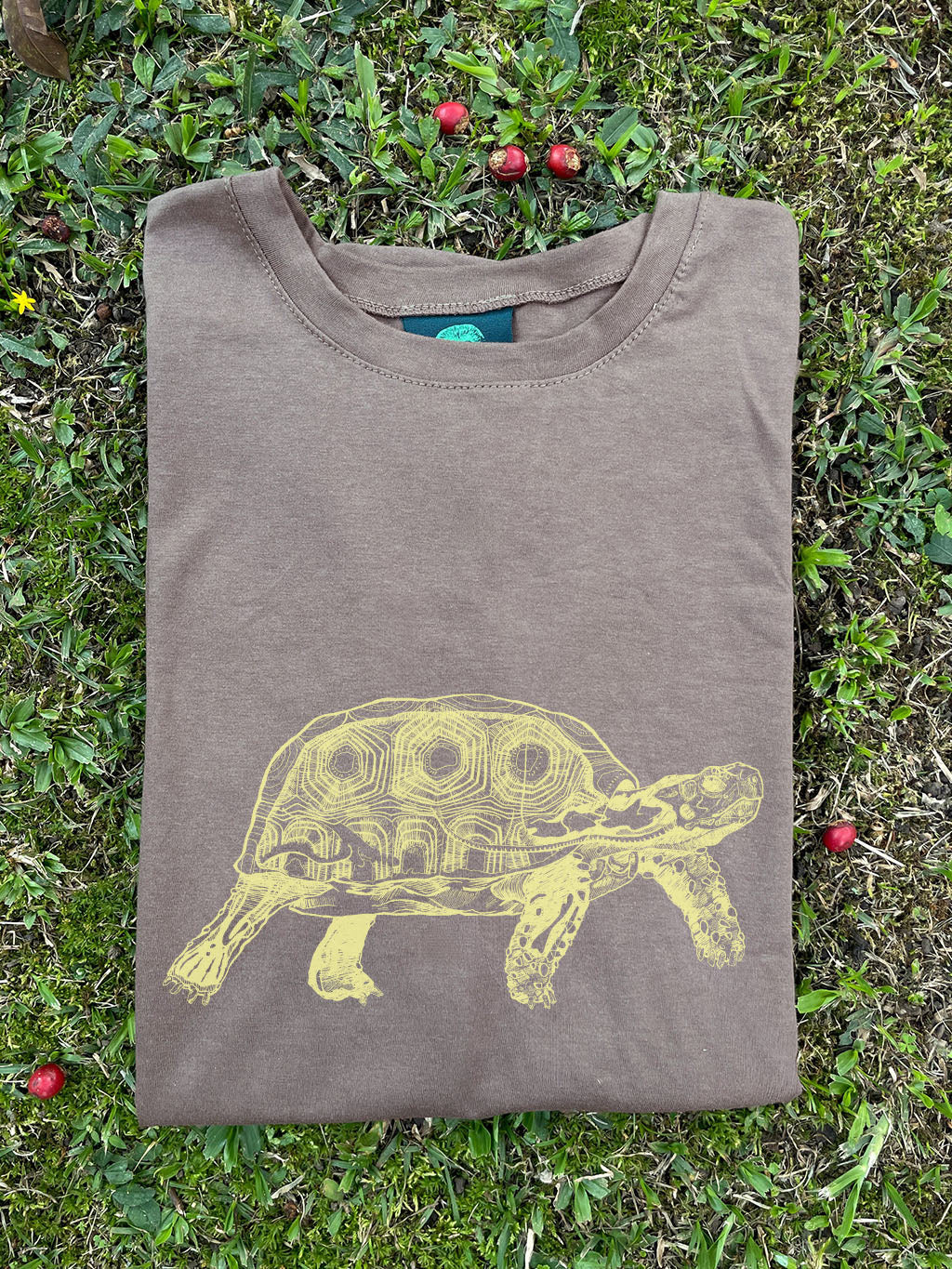 Camiseta Tortuga morrocoy • Clásica • Adulto