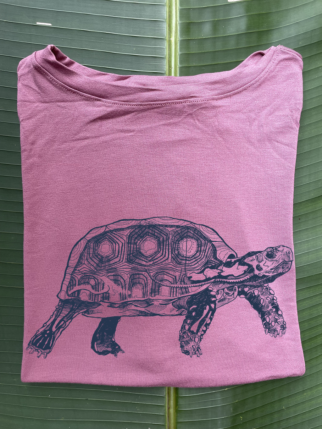 Camiseta Tortuga morrocoy • Armonía • Vaporosas adultos