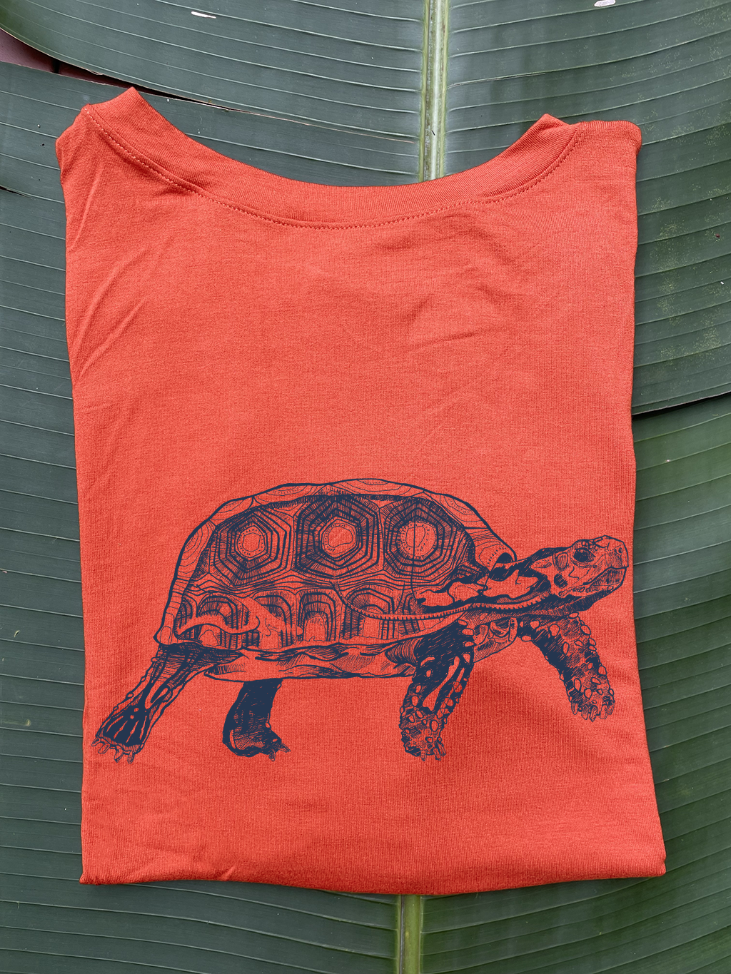 Camiseta Tortuga morrocoy • Brisa • Vaporosas adultos