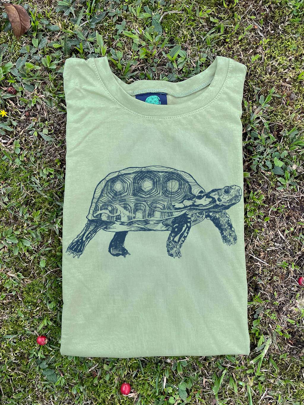 Camiseta Tortuga morrocoy • Clásica • Adulto