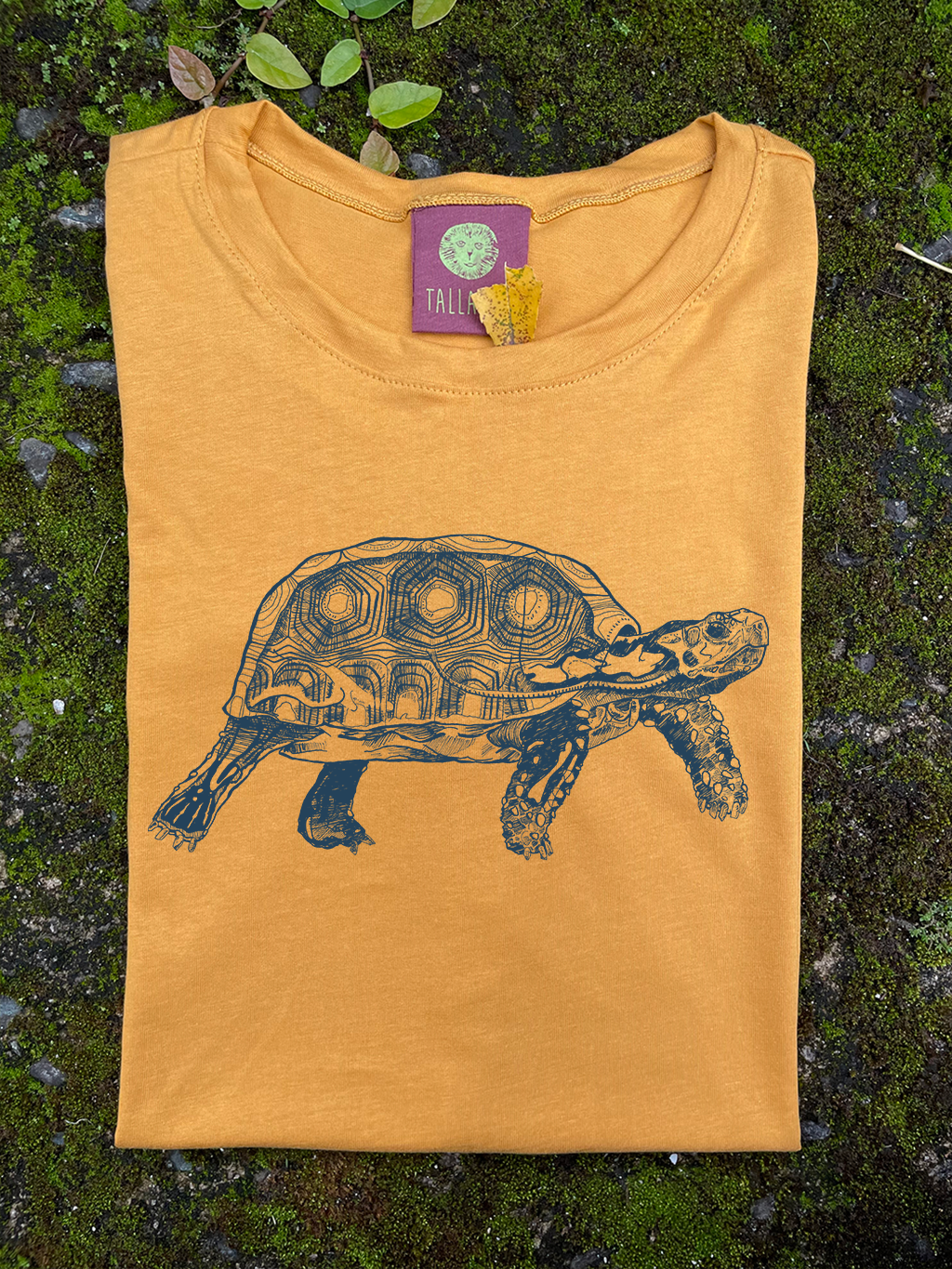 Camiseta Tortuga morrocoy • Clásica • Adulto