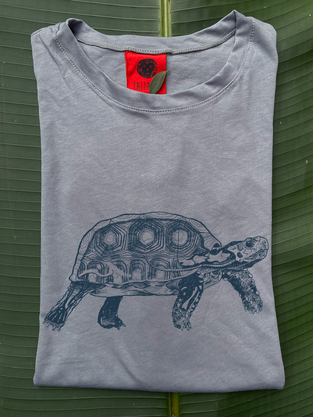 Camiseta Tortuga morrocoy • Clásica • Adulto