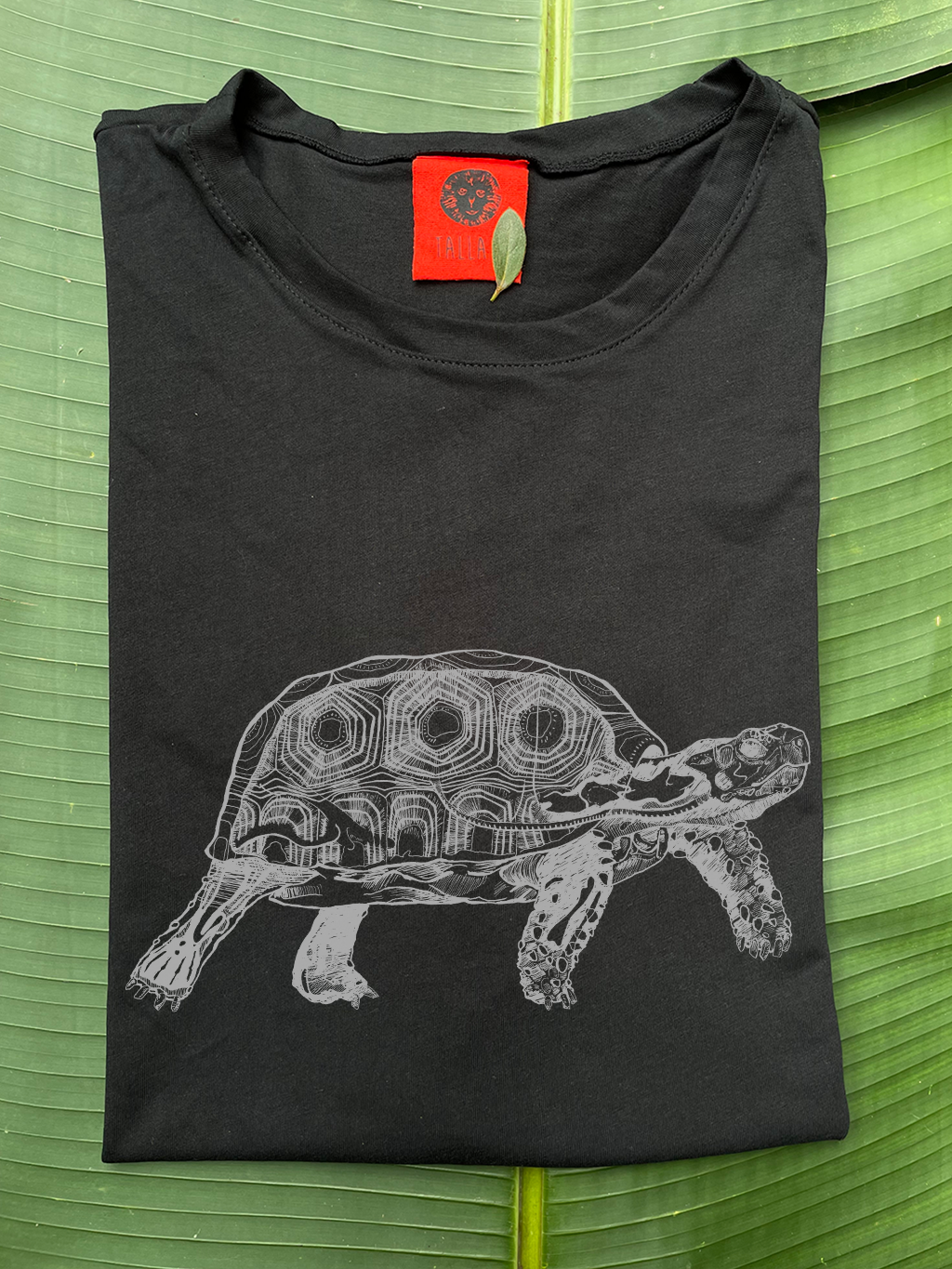 Camiseta Tortuga morrocoy • Clásica • Adulto